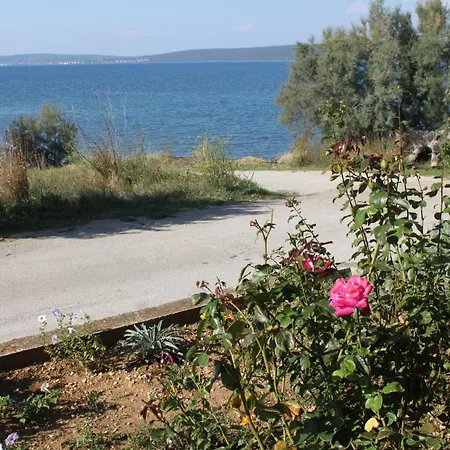 Nevidjane 8401a * Neviđane